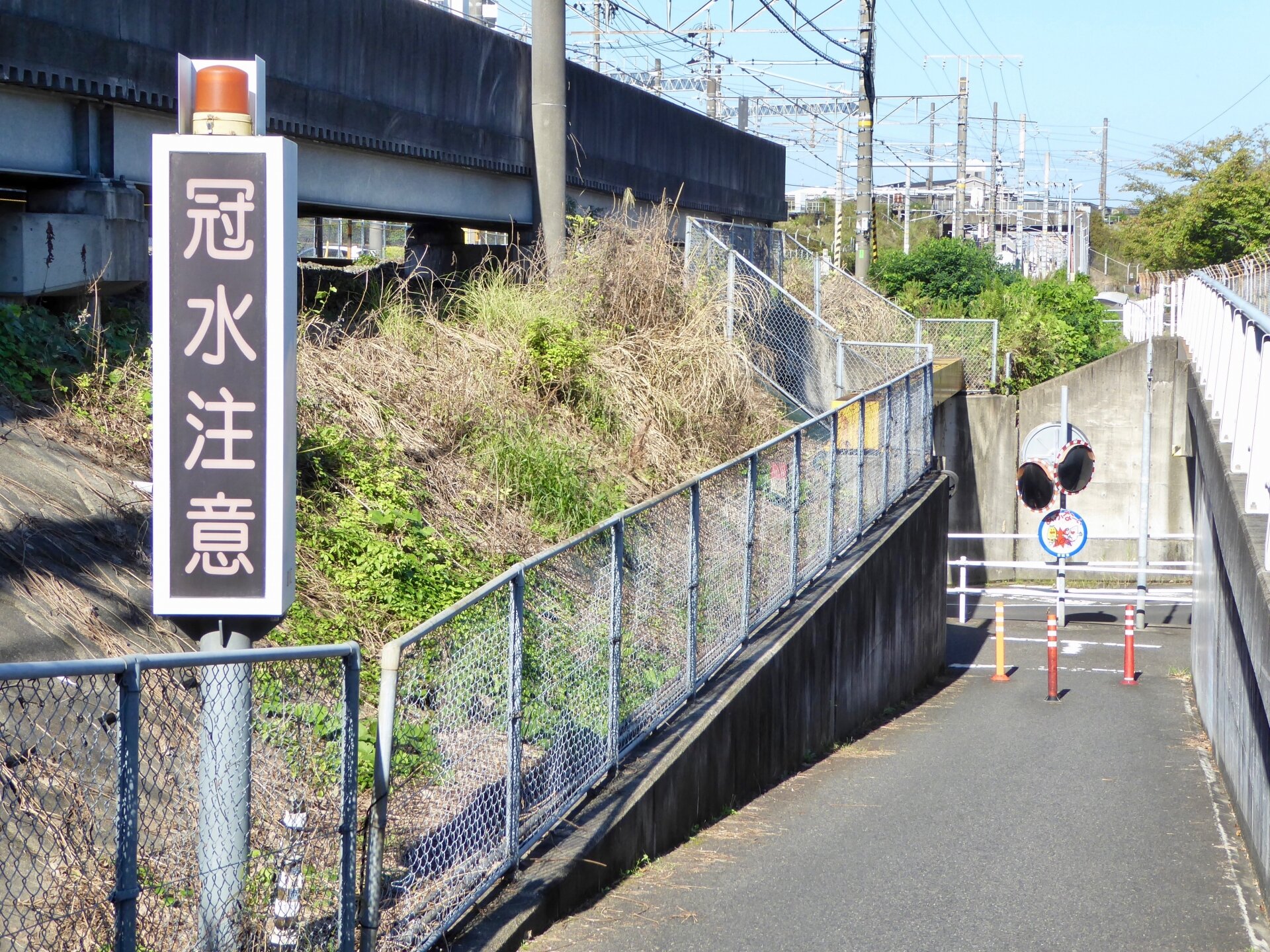 image1.jpg